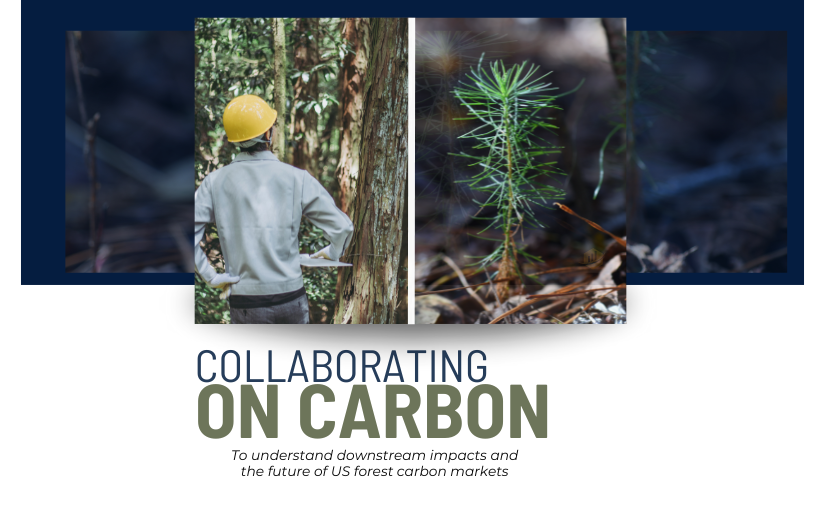 Collaborating on Carbon